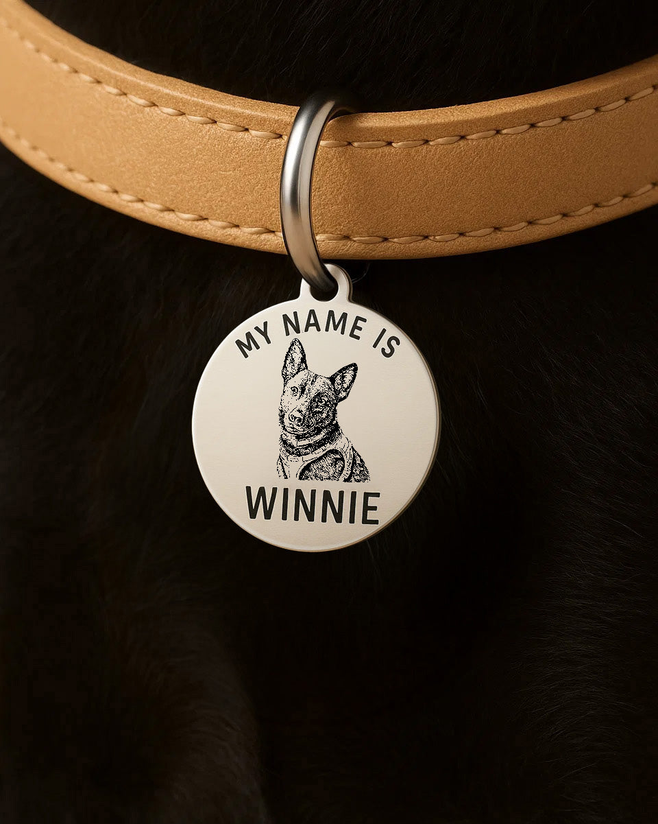 Round Pet Photo Tag