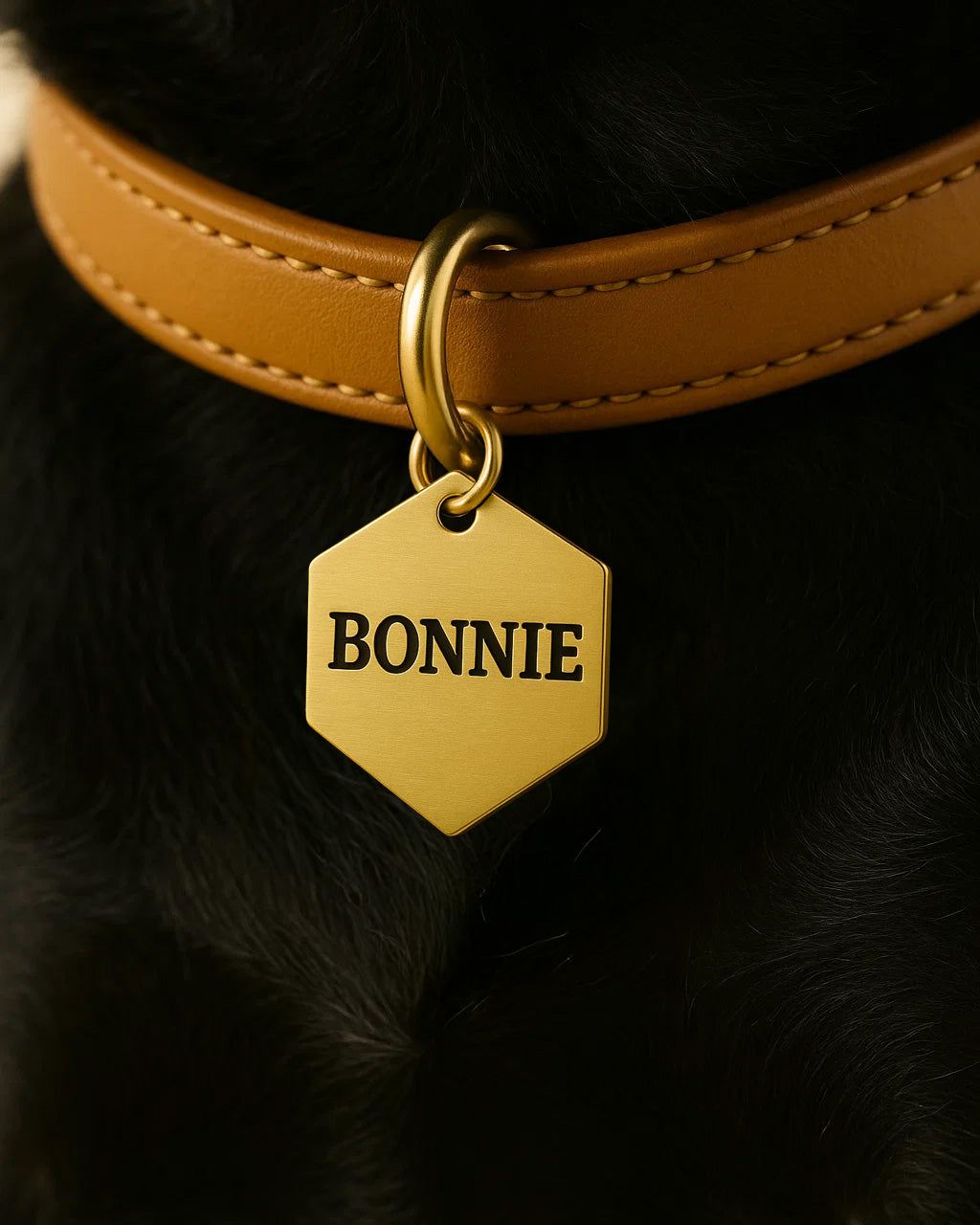 Hexagon Name Tag